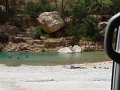 Oman Wadi Tiwi (4)